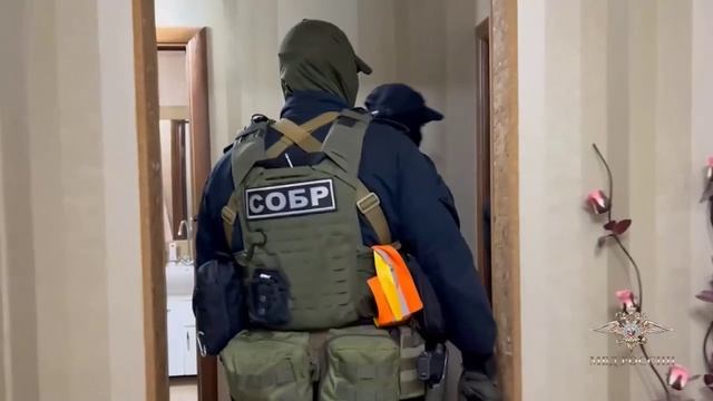 В Алтайском крае полицейские задержали подозреваемых в неправомерном обороте средств платежей смотреть онлайн