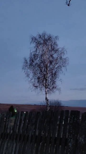 Классная песня!