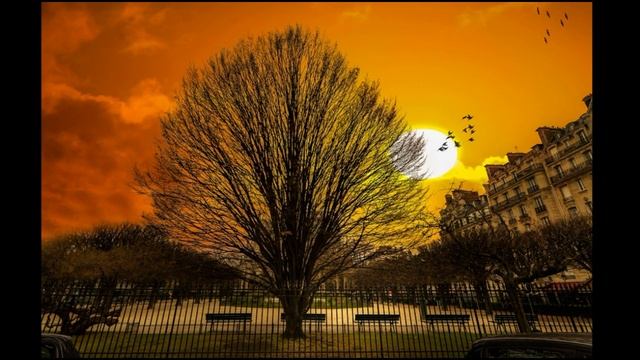 Parise Autumn Be Sergey Permjakov