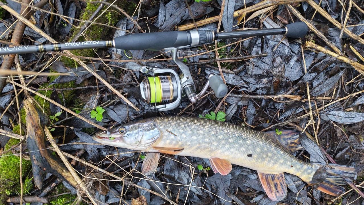 Микро-речка. Джиг 27 ноября 2025 года