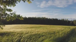 «Падал снег, укрывая всё собой» – @maranafabrothers