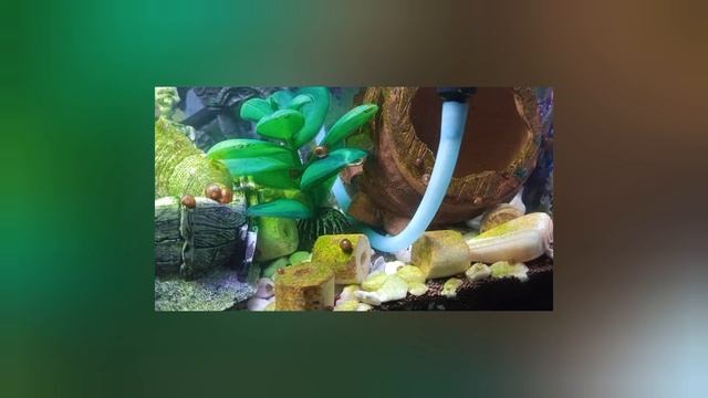 Добавили моховые шарики 