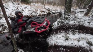 великий, очень великий мох 22.11.25