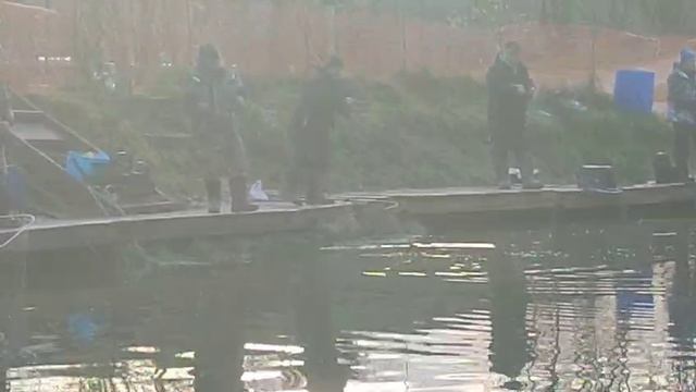 Желтый маггот смотреть онлайн