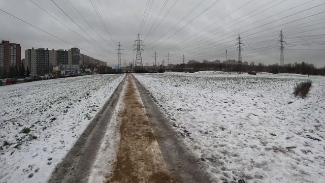 моноколесо "СОТКА" (Виктор) GX010845