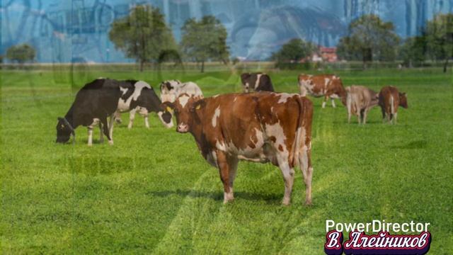 Как хорошо мы плохо жили... смотреть онлайн