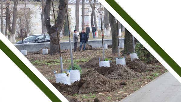 Морсад смотреть онлайн