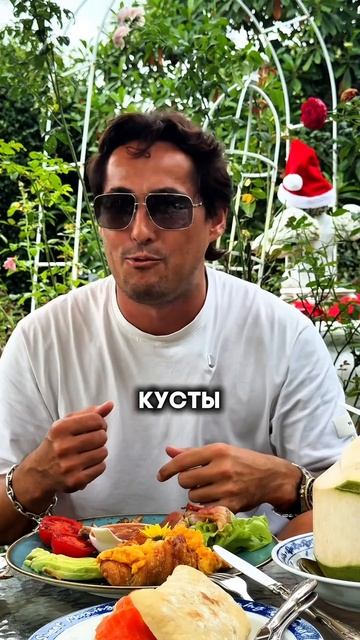 Dfb63a92596747268772a67644669be8