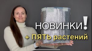 Распаковка РЕДКИЕ растения НОВЫЕ сорта ОБЗОР