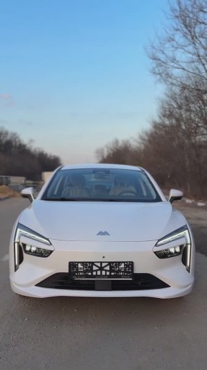 Про Амберавто А5 отзыв от новоиспеченного владельца Tesla Model X 90D 2017 оценка Amberauto A5
