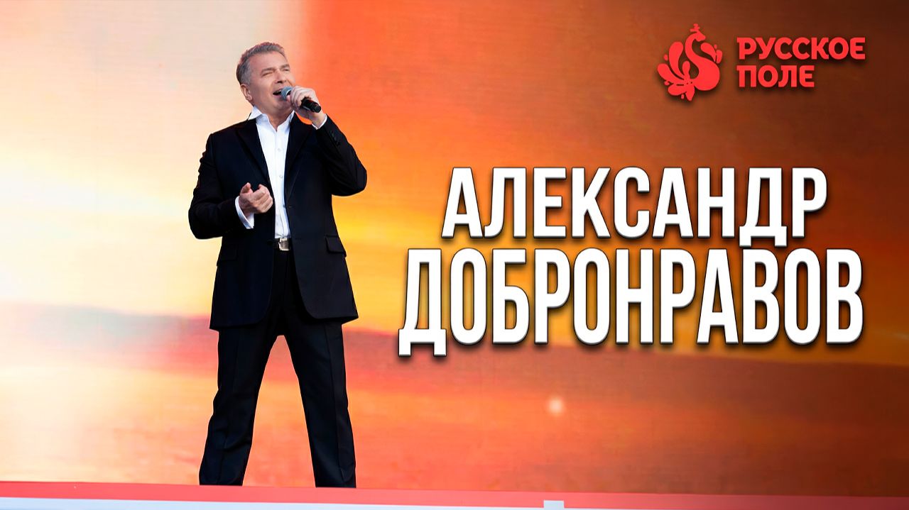Fest “РУССКОЕ ПОЛЕ” • Александр ДОБРОНРАВОВ | Поклонная гора, 2025