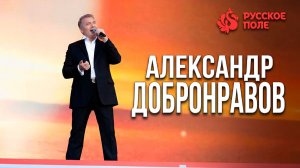 Fest “РУССКОЕ ПОЛЕ” • Александр ДОБРОНРАВОВ | Поклонная гора, 2025