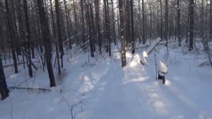 Переезд в новое зимовьё. Охота на соболя. Начало рыбалки.