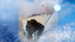 Помним тебя дружище