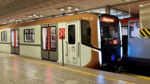 Станция метро Девяткино. Коричневый Балтиец