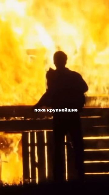 Как японский неудачник заработал 20 млн $ смотреть онлайн