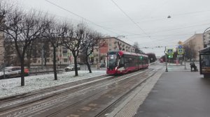 Трамвай 71-932 «Невский» на остановке Таллинская улица в Санкт-Петербурге (25.11.2025)