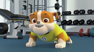 💪  Веселая утренняя зарядка для деток – повторяйте за нами! Щенячий Патруль