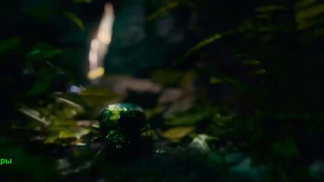 Моана. Фильм 2026. Русский трейлер фильма. смотреть онлайн