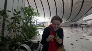 Путь в Японию 04.2025. Обзор Аэропорта Пекина Дасин. Часть 1. Beijing Daxing International Airport