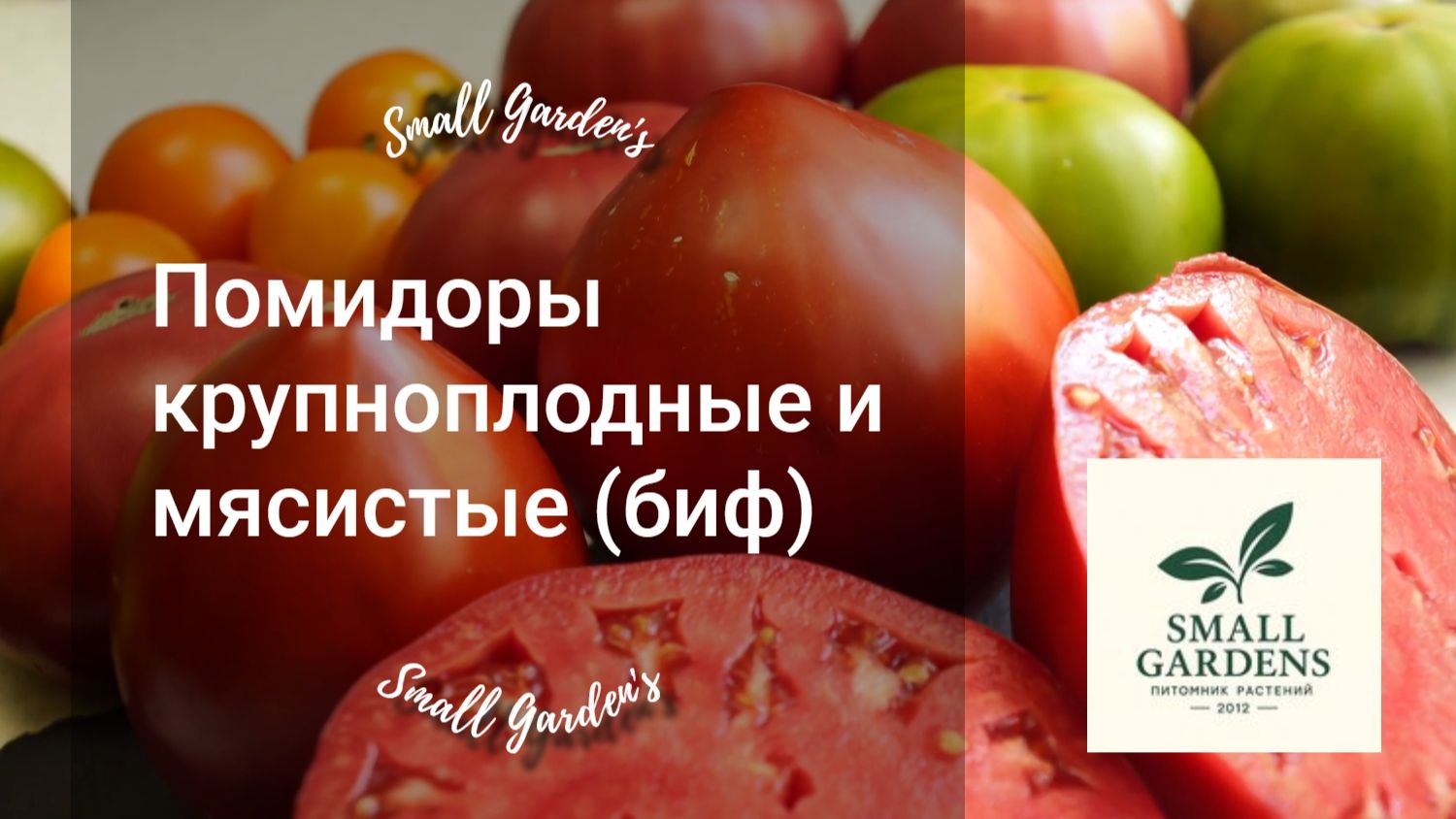 Помидоры крупноплодные и мясистые (биф). Семена томатов почтой от Small Garden's