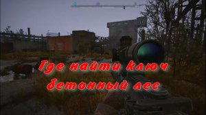 сталкер 2 бетонный лес где найти ключ как открыть дверь цемзавод