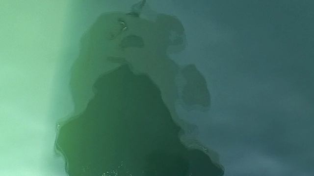 Как провожают пароходы