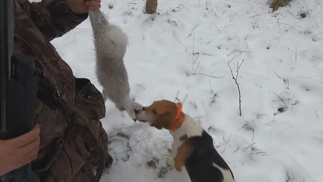 Охота с Добычем 27.11.2025. смотреть онлайн