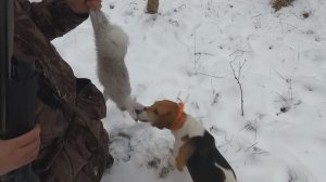 Охота с Добычем 27.11.2025.