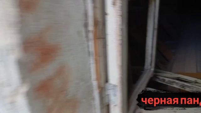 Подпишись. Скоро тут начнётся интересное!