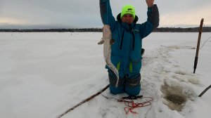 Рыбалка на налима / Жена не выдержала и вышла на лед /  Вот это поворот она поймала налима