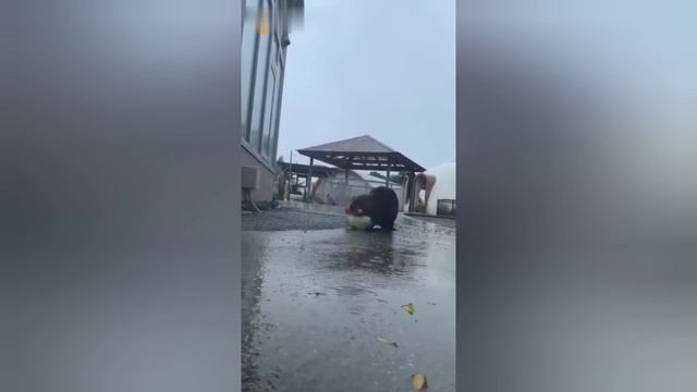 Погода им нипочём. смотреть онлайн