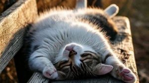 Пожелания с добрым утром бесплатно новые