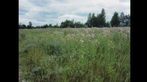 Облака авторская песня стихи исп фото Татьяна Талызина муз Виктор Воронцов