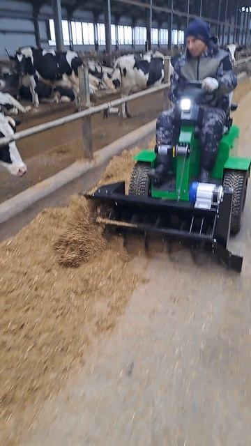 Республика Татарстан. Чистопольский район. КФХ Чурин. П.И.