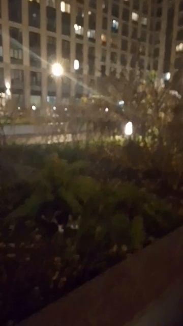 1000085314.mp4 смотреть онлайн