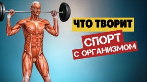 Польза спорта. Как спорт влияет на здоровье человека