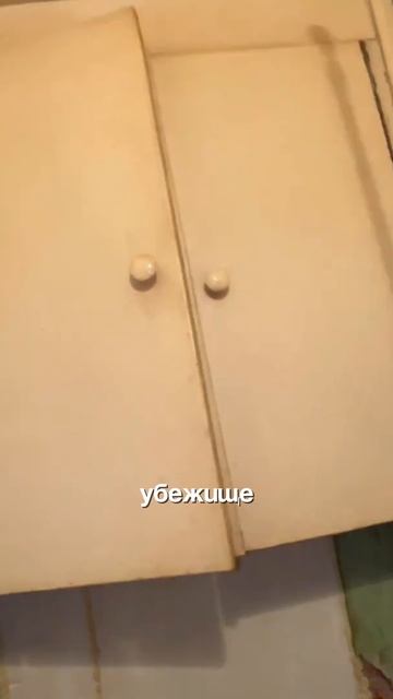 Почему тараканы возвращаются?