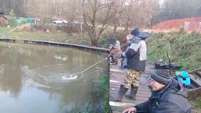 Спорт зона смотреть онлайн