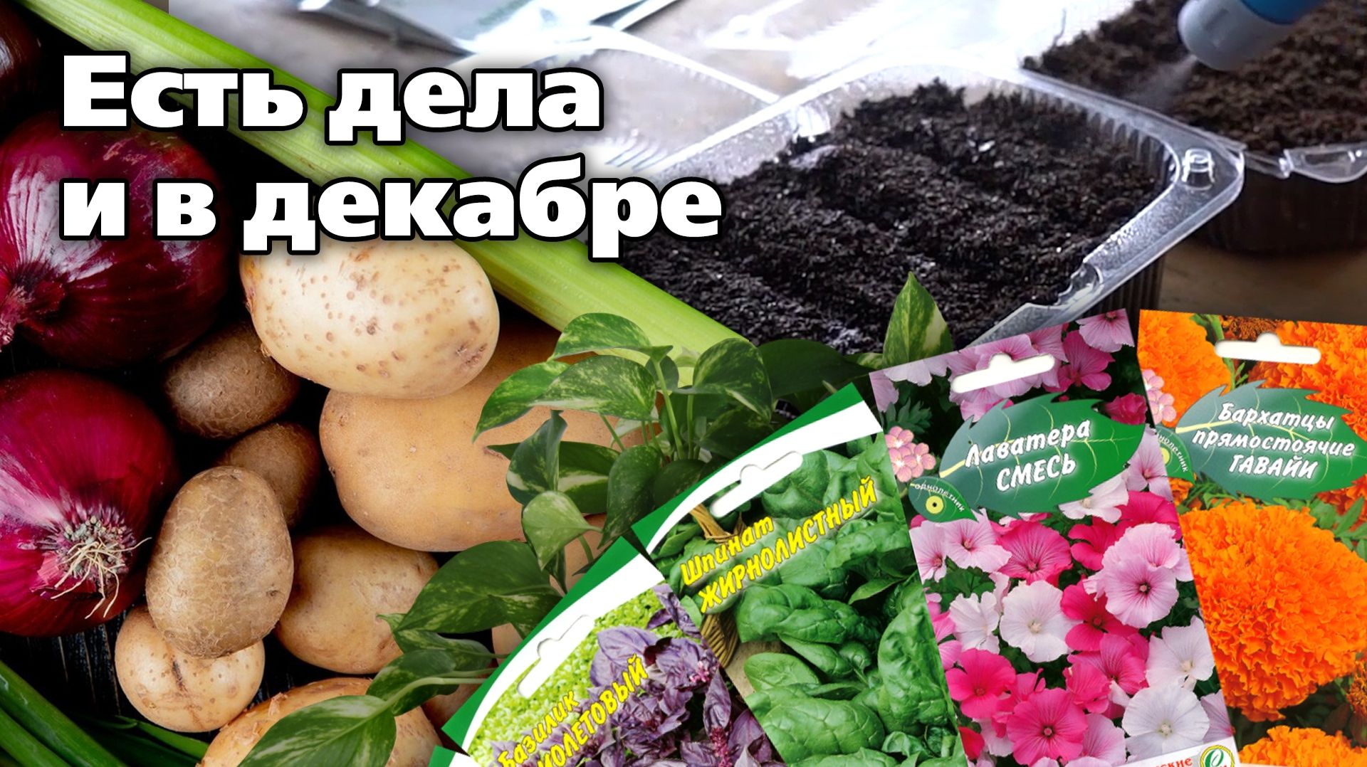 Проверяйте, все ли вы сделали. Декабрь в саду и дома смотреть онлайн