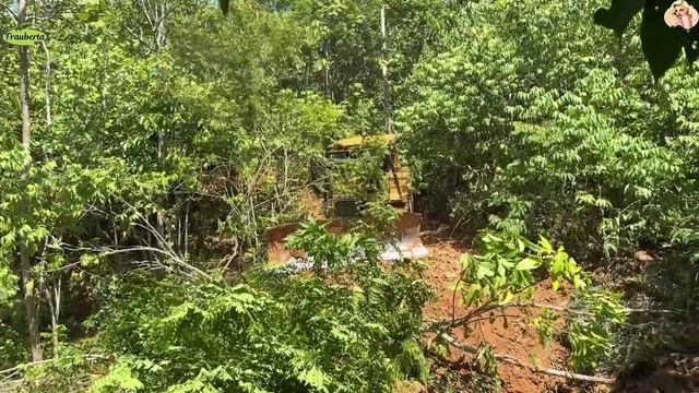 Строительство, расчистка дороги в лесу смотреть онлайн