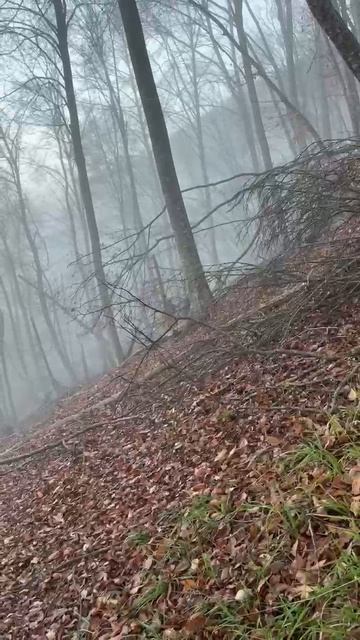 Что за погода смотреть онлайн