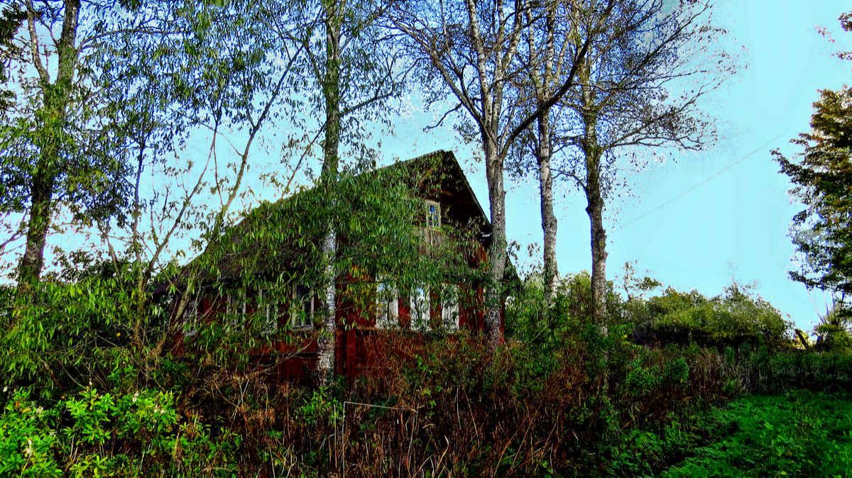 Грустная прогулка смотреть онлайн