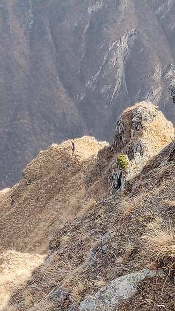 Лавочка счастья в Куртатинском ущелье