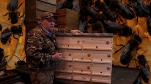 УЛЕЙ ДЛЯ КАЖДОГО. МИНИМУМ ТРУДОВ, МАКСИМУМ МЁДА