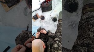 Охотник за Поклевкой!