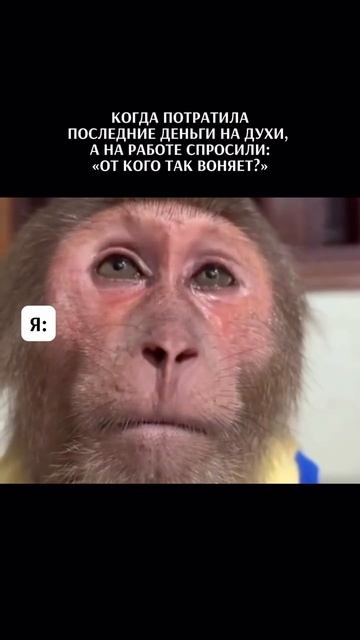 Ситуация критическая… 😅 смотреть онлайн