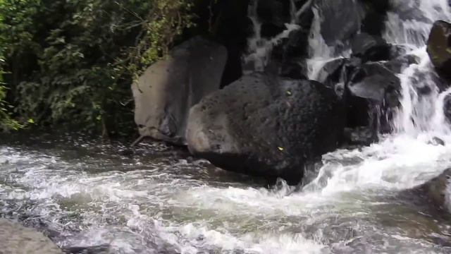 Эх,  Пигучи, красота)))