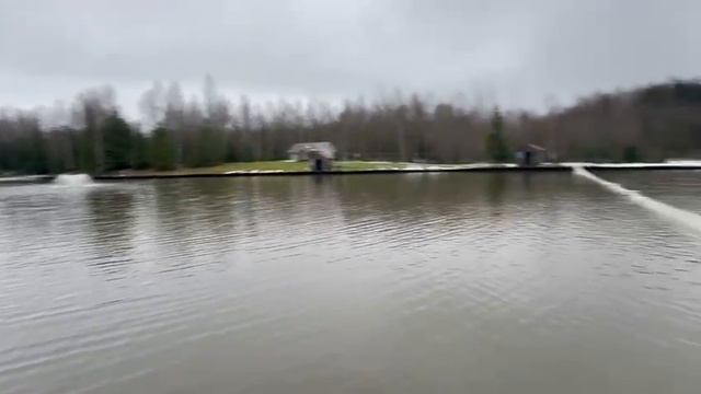 Обстановка на водоеме. смотреть онлайн