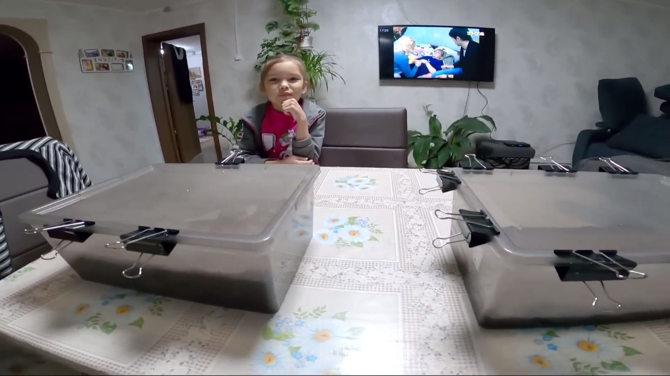 Наши питомцы. смотреть онлайн